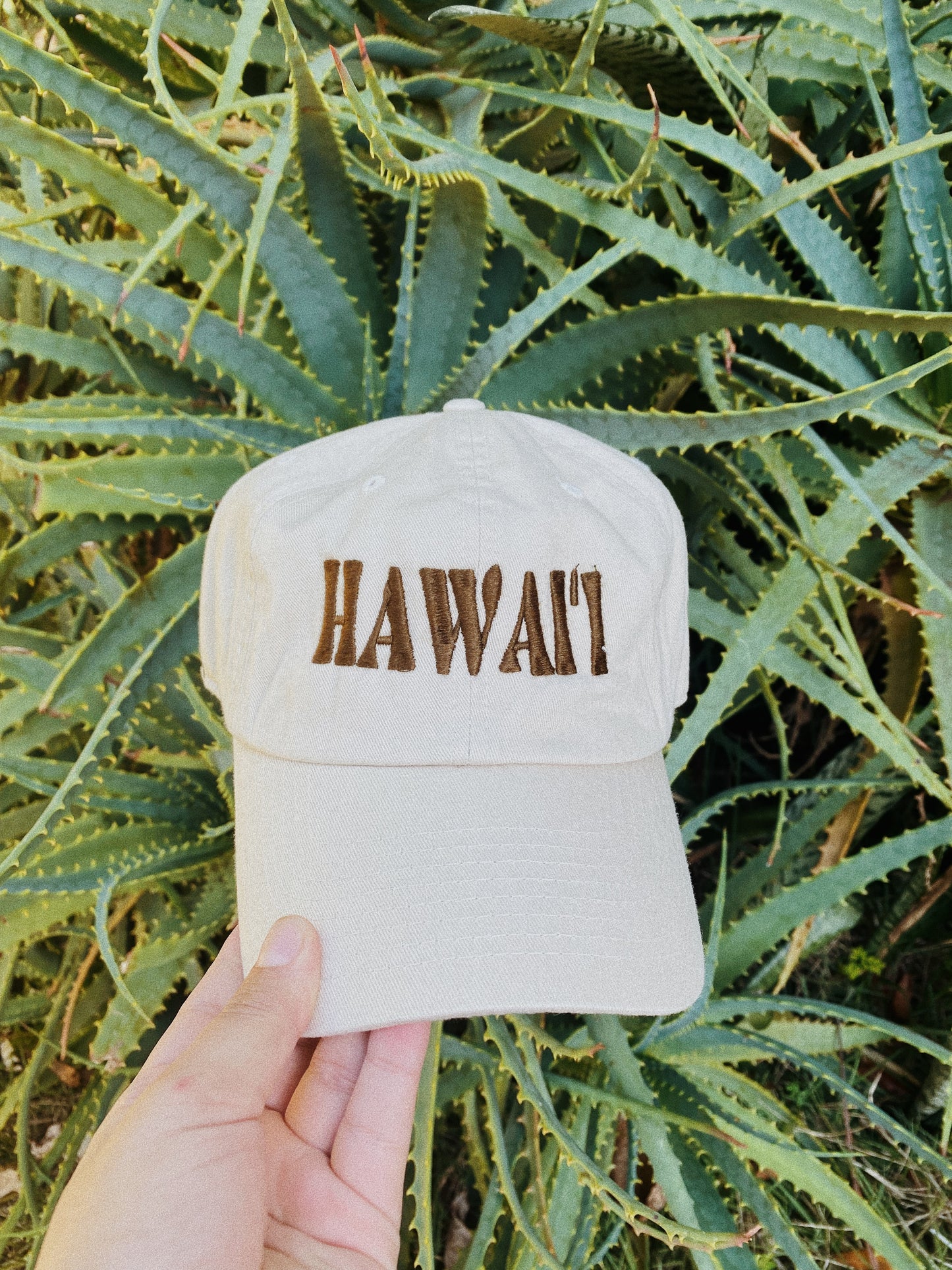 Hawai'i Dad Hat